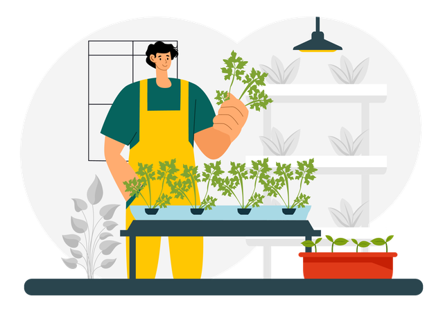 Hydroponics Technology  Illustration