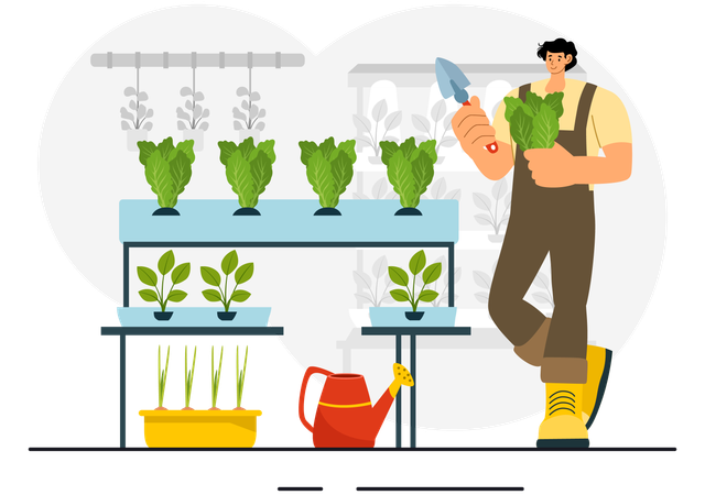 Hydroponics Technology  Illustration