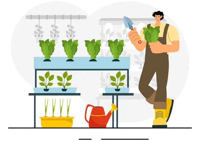 Hydroponics Technology  Illustration