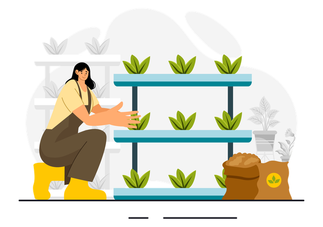 Hydroponics Technology  Illustration