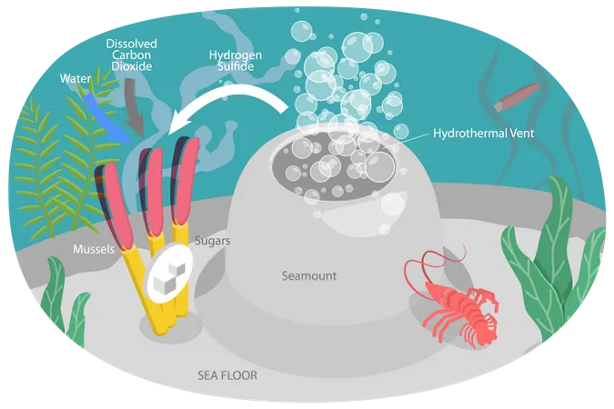 3 D Isometric Flat Vector Conceptual Illustration Of Chemosynthesis Hydrothermal Vent Illustration