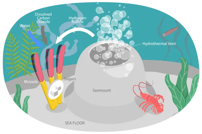 Hydrothermal Vent  Illustration