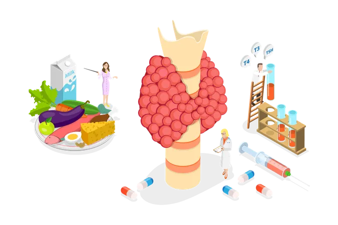 Hypothyroidism  Illustration