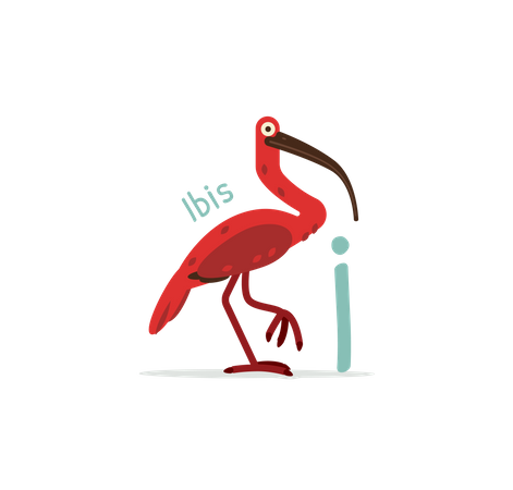 I for Ibis  Illustration