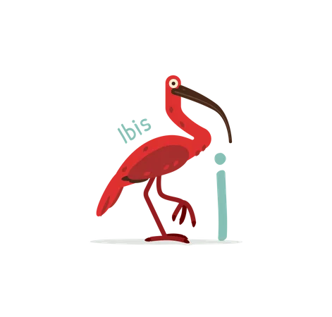 I for Ibis  Illustration