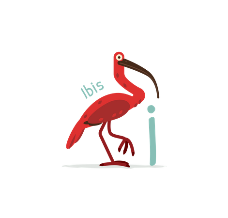 Yo para ibis  Ilustración