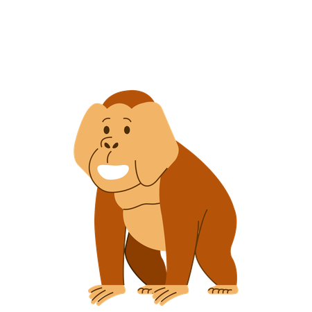 Idle Orangutan  Illustration