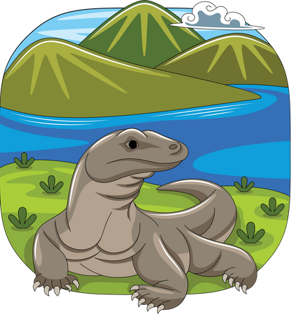 Île de Komodo  Illustration