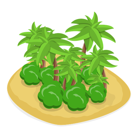 Imagen de la isla  Ilustración