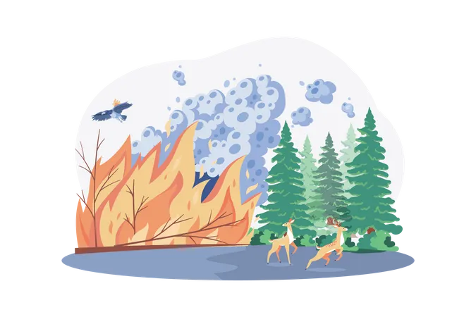 Incêndios florestais  Ilustração