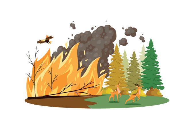 Incêndios florestais  Ilustração