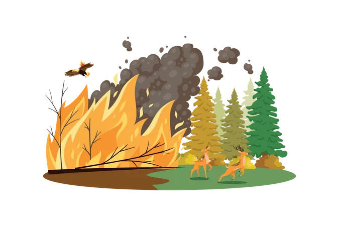 Incêndios florestais  Ilustração