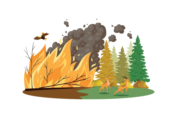Incendios forestales  Ilustración