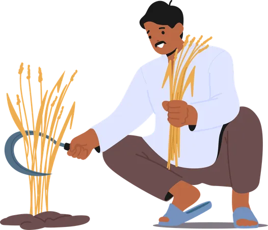 Indian Farmer Crouches To Harvest Crops  Illustration