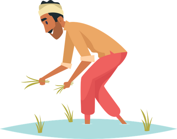 Indian farmer  Illustration