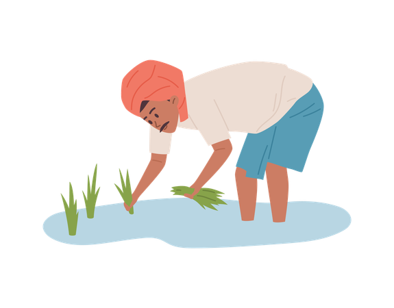 Indian farmer, man working in field  Illustration