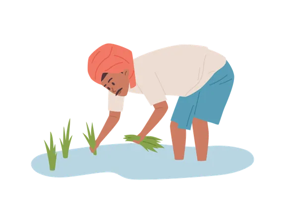 Indian farmer, man working in field  Illustration