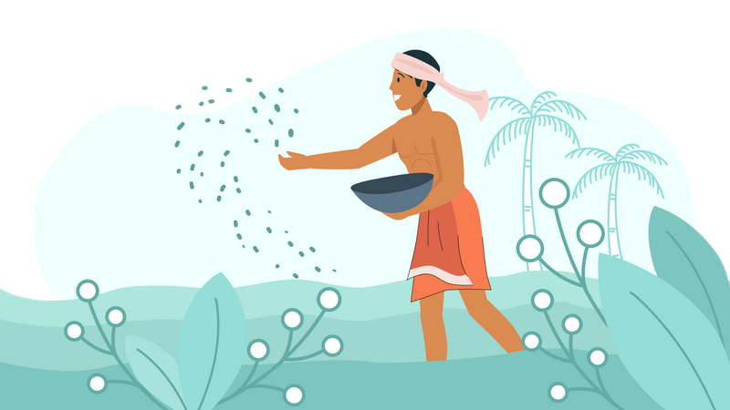 Indian farmer planting seeds in soil  Illustration