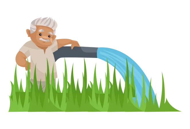 Indian farmer pouring water to crop  Illustration