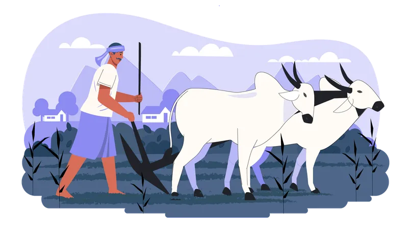 Indian farmer riding bull  Illustration