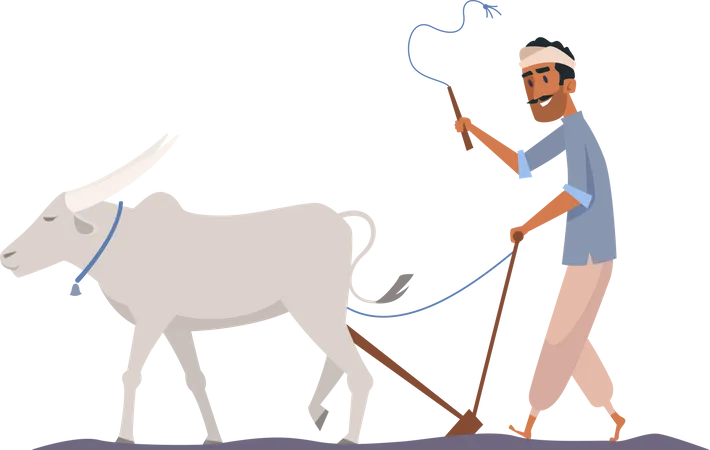 Indian farmer riding bull  Illustration