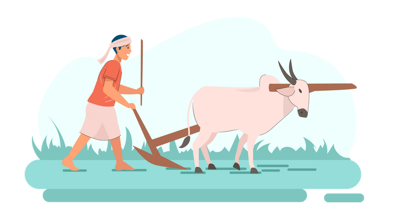 Indian farmer riding bullock Illustration
