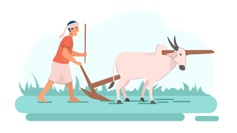 Indian farmer riding bullock  Illustration