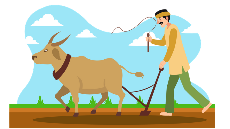 Indian farmer riding bullock  Illustration