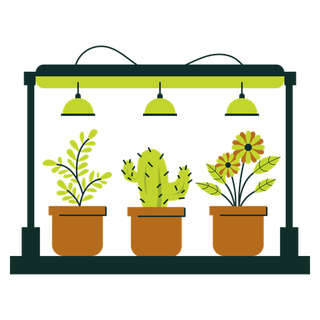 Indoor Greenhouse With Potted Plants And Lighting System  Illustration