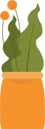 Indoor Plant  Illustration