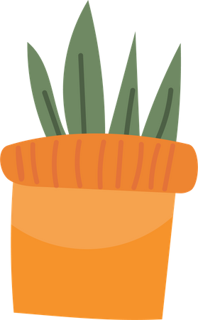 Indoor Plant  Illustration