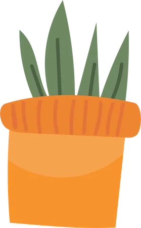 Indoor Plant  Illustration