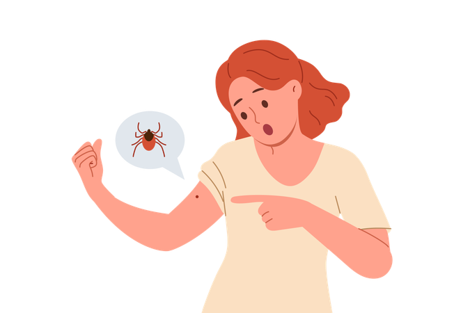 Infectious tick bitten woman hand and sucking blood while risking infecting with dangerous disease  Illustration