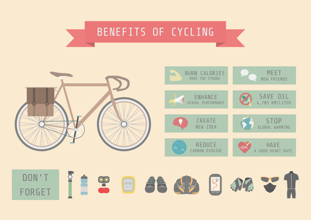 Infografía de bicicletas  Ilustración