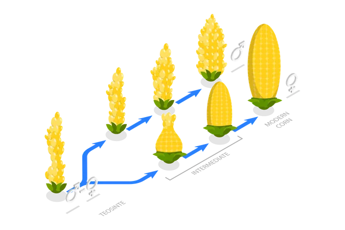 Ingeniería genética  Ilustración