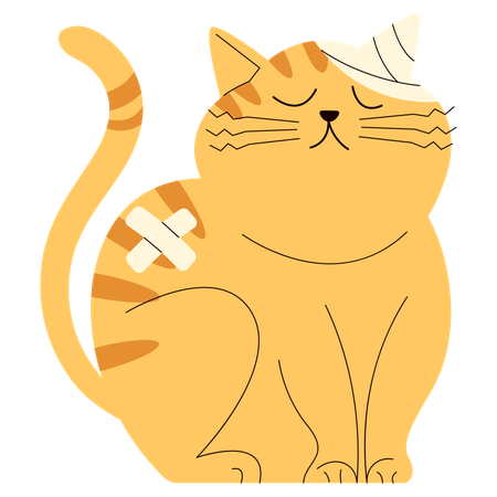 負傷した猫  イラスト