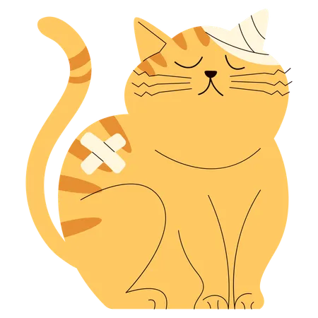 Injured Cat  Illustration