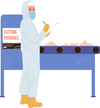 Inspector is inspecting potatoes on conveyor belt  Illustration