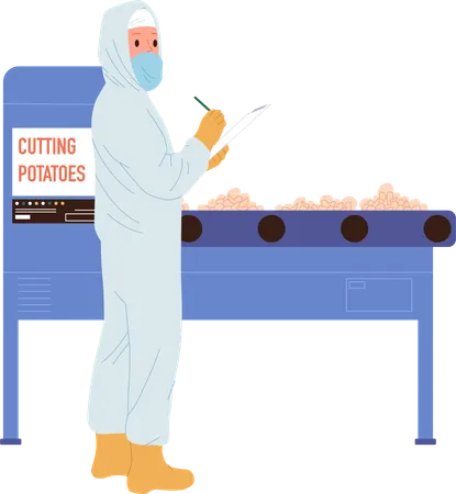 Inspector is inspecting potatoes on conveyor belt  Illustration