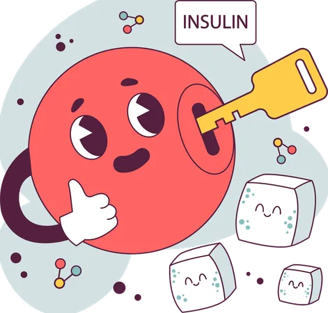 Insulin function and Endocrine system  Illustration