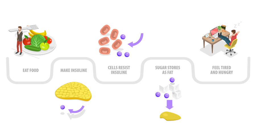 Insulin resistance  Illustration
