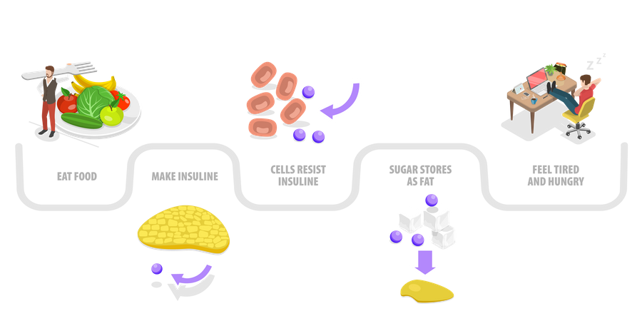 Insulinresistenz  Illustration