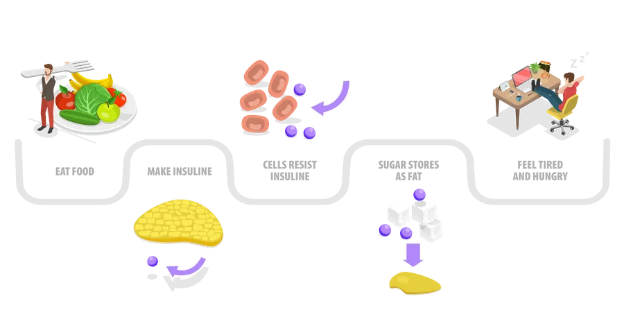 Insulinresistenz  Illustration