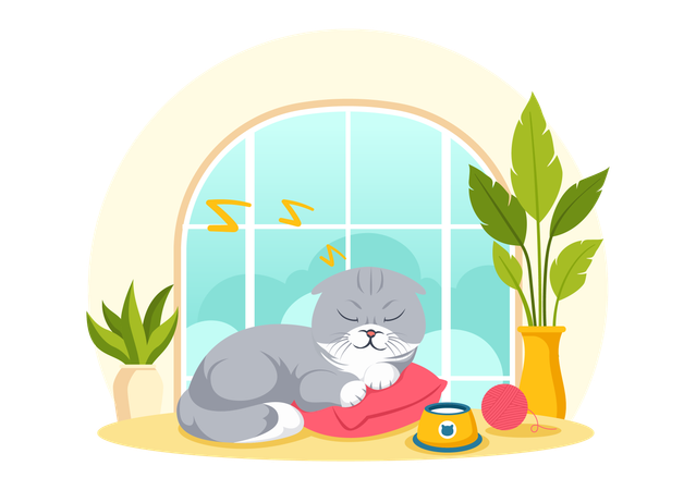 International Cat Day  Illustration