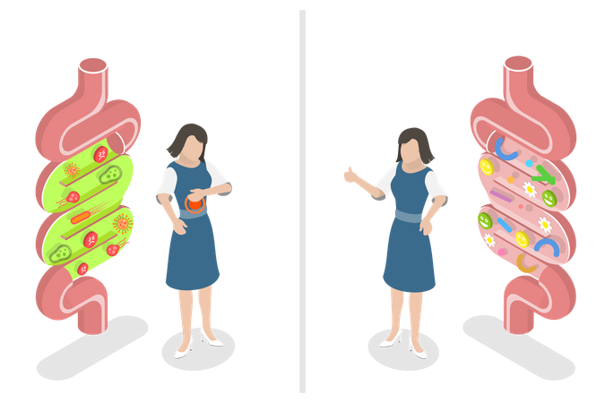 Intestino bom versus intestino ruim  Ilustração