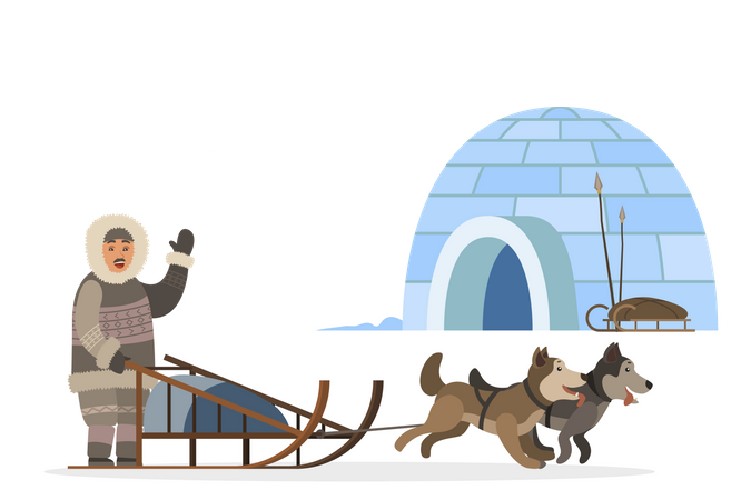 Inuit Passing Igloo Sledges With Husky Dog  Illustration