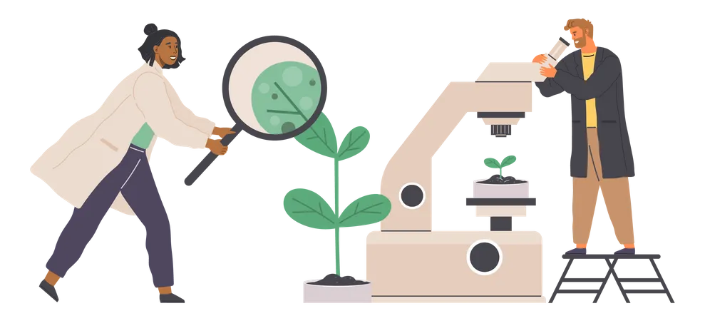 Investigación de productos orgánicos  Ilustración