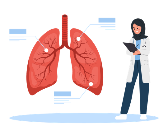 Islamic Female doctor researching lungs transplantation  Illustration