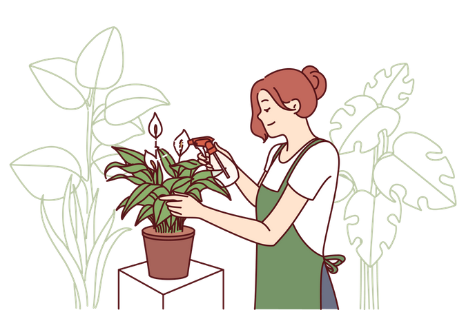 Jardineira cuida das plantas da casa pulverizando folhas com fertilizante  Ilustração