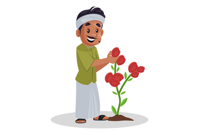Jardineiro pegando rosa da planta  Ilustração